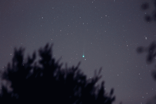 Cometa ISON by Mike