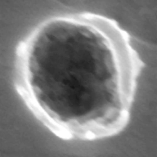 Stardust: probabile polvere interstellare 1061N,3