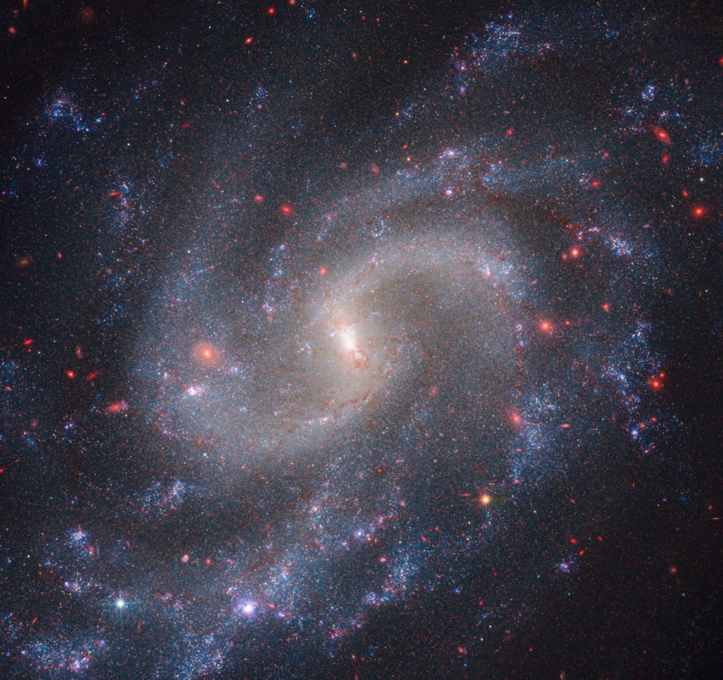 Le osservazioni combinate della NIRCam (Near-Infrared Camera) della NASA e della WFC3 (Wide Field Camera 3) di Hubble mostrano la galassia a spirale NGC 5584, che risiede a 72 milioni di anni luce dalla Terra. Tra le stelle luminose di NGC 5584 ci sono Cefeidi e supernova di tipo Ia, una classe speciale di stelle esplosive. Gli astronomi utilizzano le variabili Cefeidi e le supernove di tipo Ia come indicatori di distanza affidabili per misurare il tasso di espansione dell’universo. Crediti: NASA, ESA, CSA e A. Riess (STScI).
