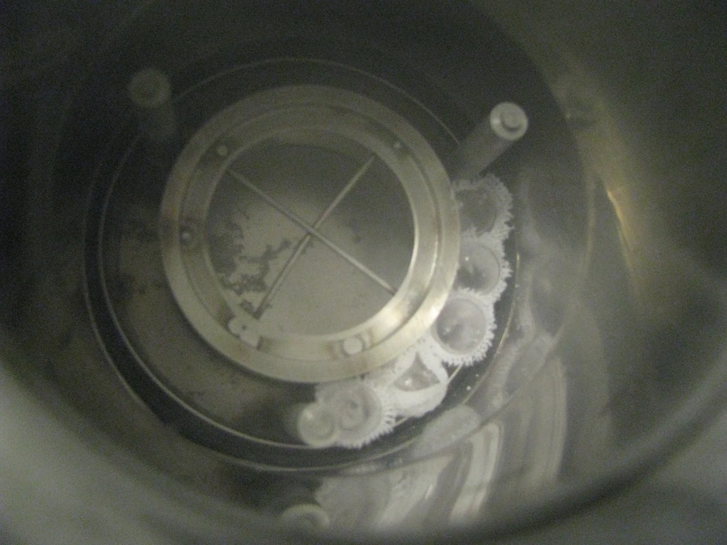 Questa immagine mostra i campioni sperimentali caricati nel contenitore dove saranno immersi nell'azoto liquido e sottoposti a radiazioni gamma. Crediti: Candace Davison